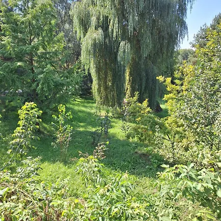 Szalupa Airport Vandrerhjem Zakroczym