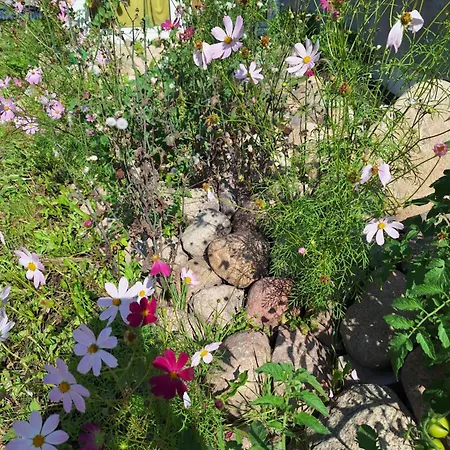 Hostel Szalupa Airport