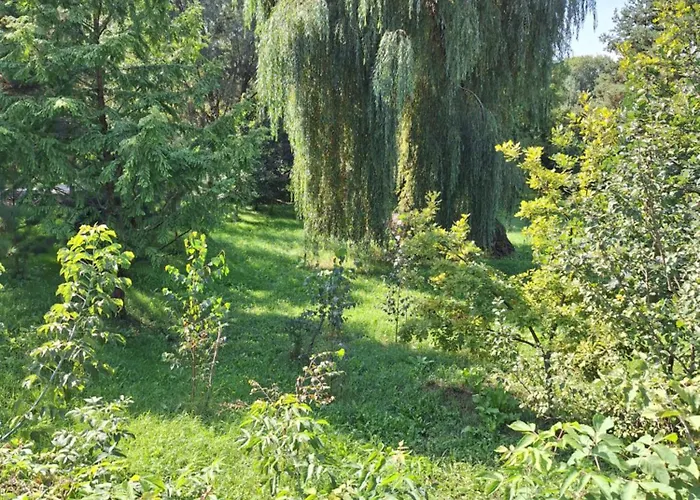 Szalupa Airport Hostel Zakroczym