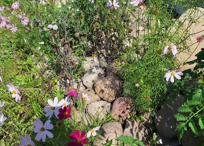 Hostel Szalupa Airport